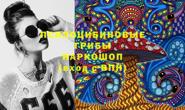 гашик Ростов